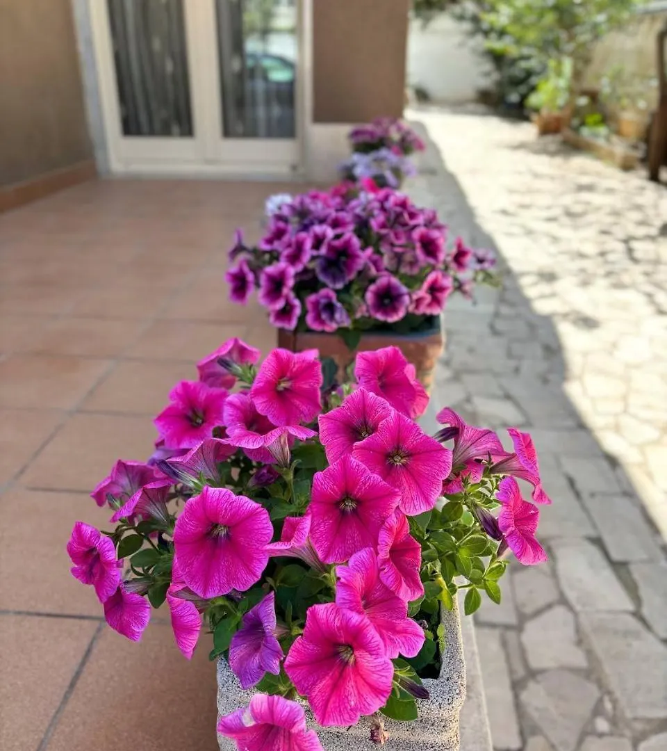 Villa Magnolia Con Giardino Bari 0*,